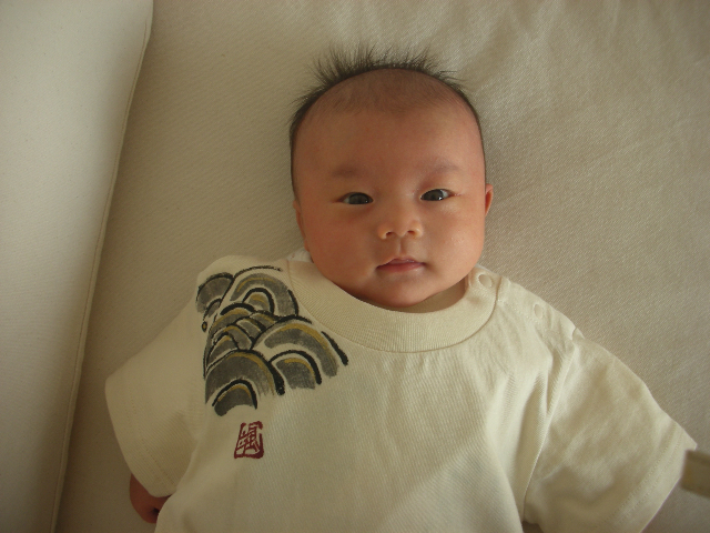 鯉の滝登りtシャツ